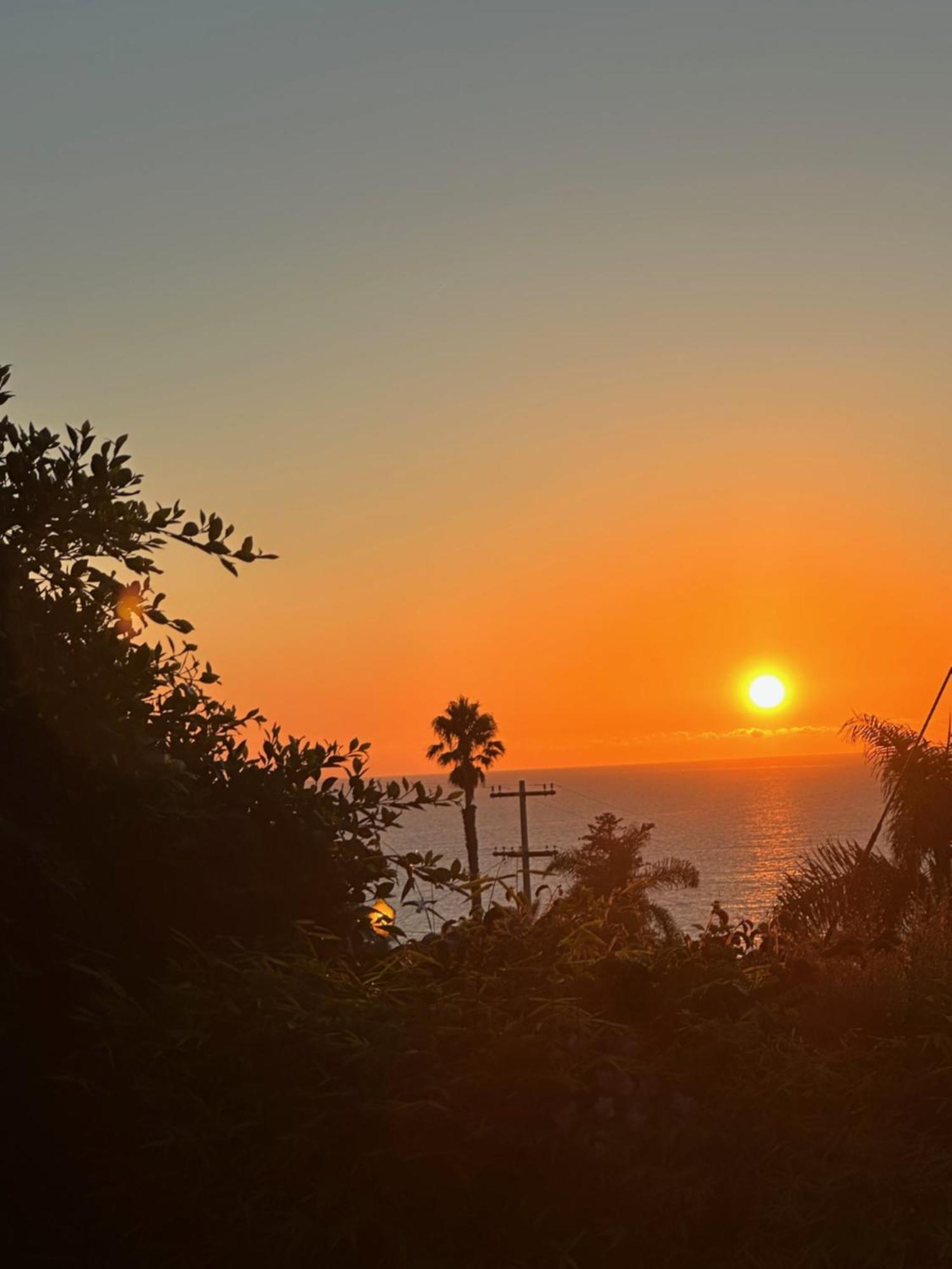 Contemporary Ocean Sunset Views With Firepit Pt Loma Close To Plnu San Diego Eksteriør bilde