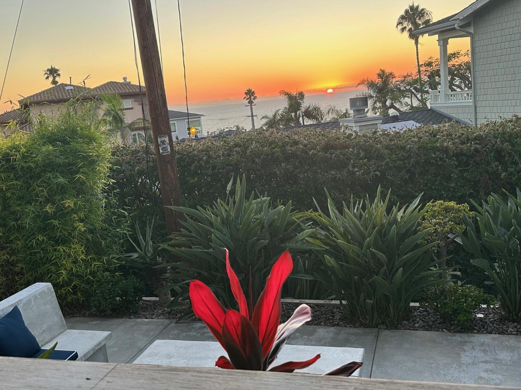 Contemporary Ocean Sunset Views With Firepit Pt Loma Close To Plnu San Diego Eksteriør bilde