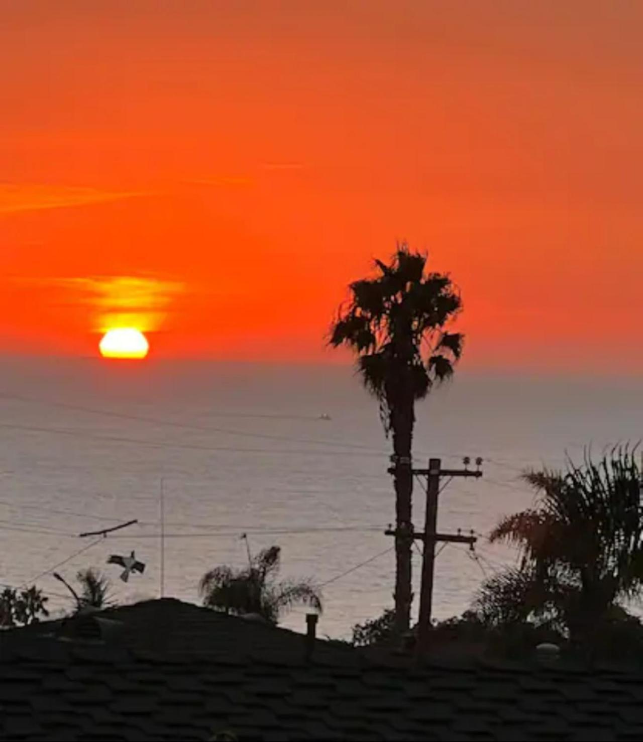 Contemporary Ocean Sunset Views With Firepit Pt Loma Close To Plnu San Diego Eksteriør bilde